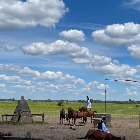 Elisa Дом отдыха *