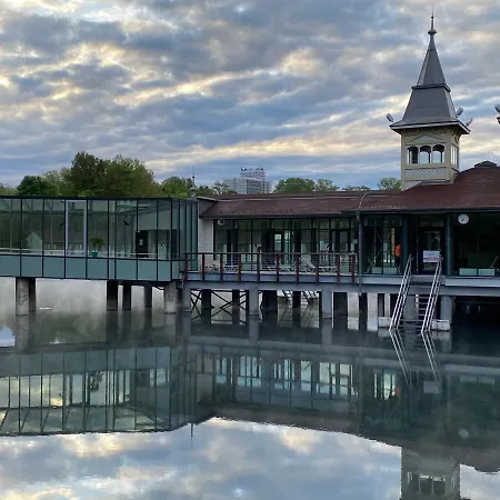 Elisa * Вонярцвашхедь