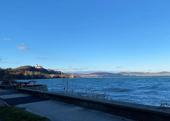 Elisa בית נופש פוניארצוושהג'