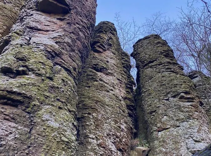 בית נופש Elisa *