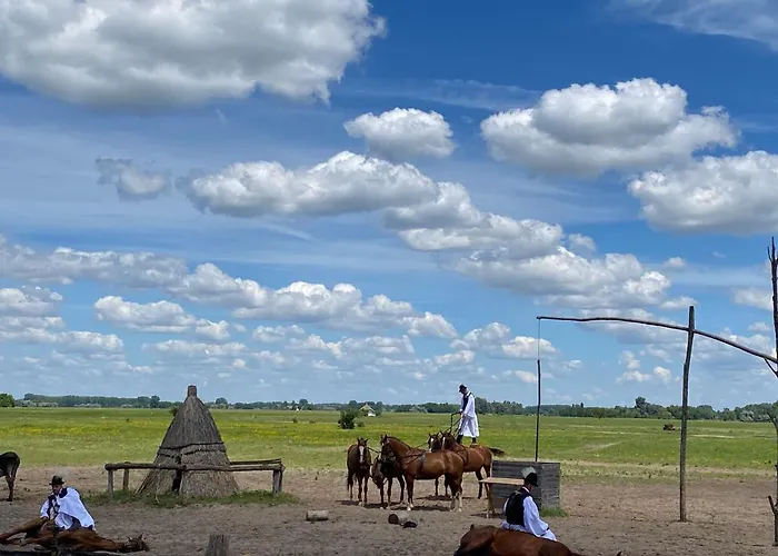 Elisa بيت للعطل *