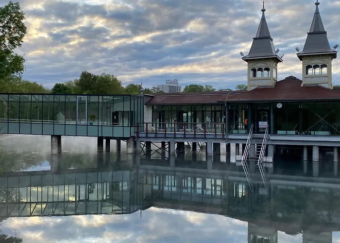 Elisa * פוניארצוושהג'