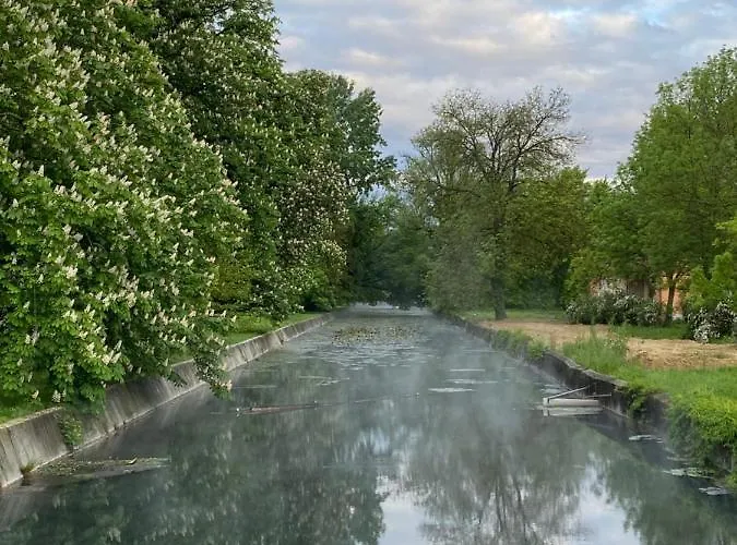 Elisa بيت للعطل *