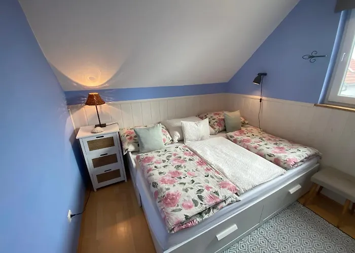 بيت للعطل Elisa