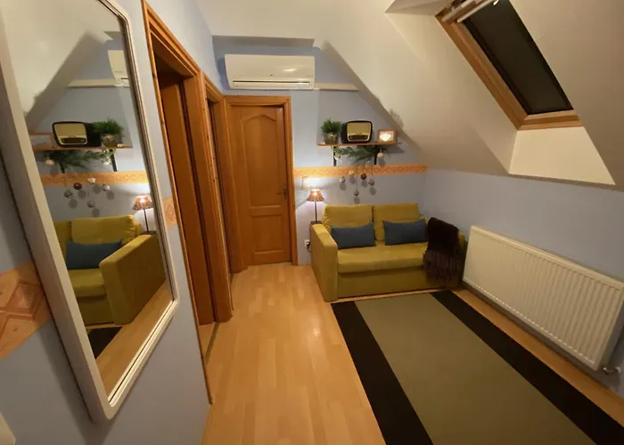 Elisa בית נופש פוניארצוושהג'